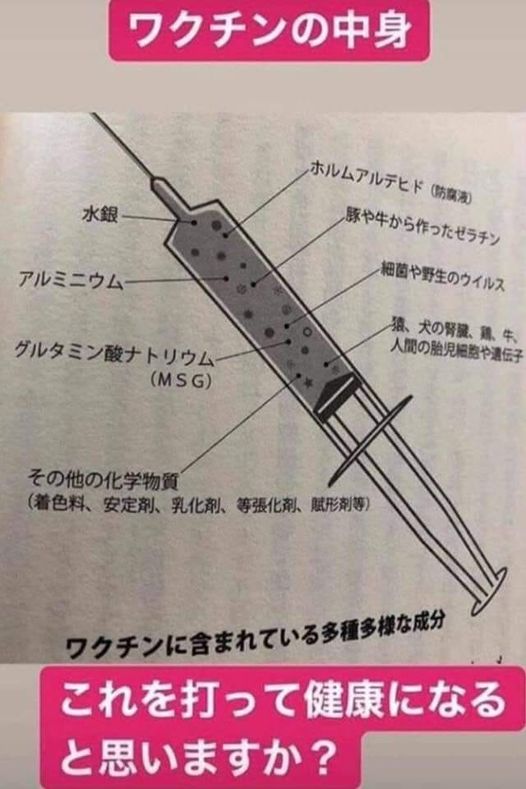 新型のワクチンの中身は、、（木村 正治さまFBより転載）